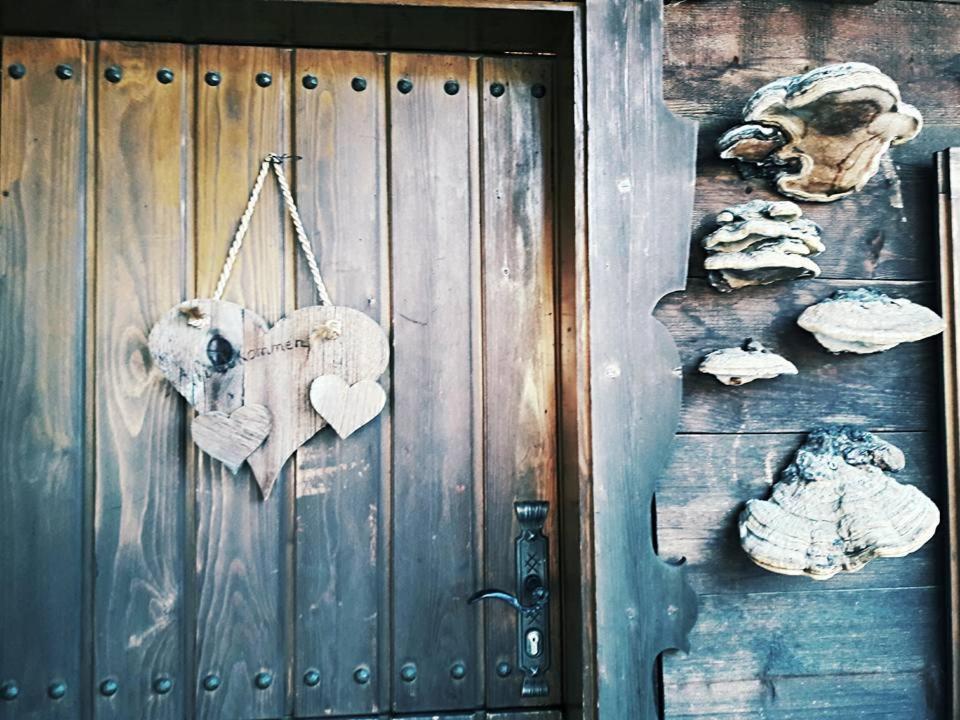 Haus Lifinar - Carmen Juen Leilighet Sankt Gallenkirch Eksteriør bilde